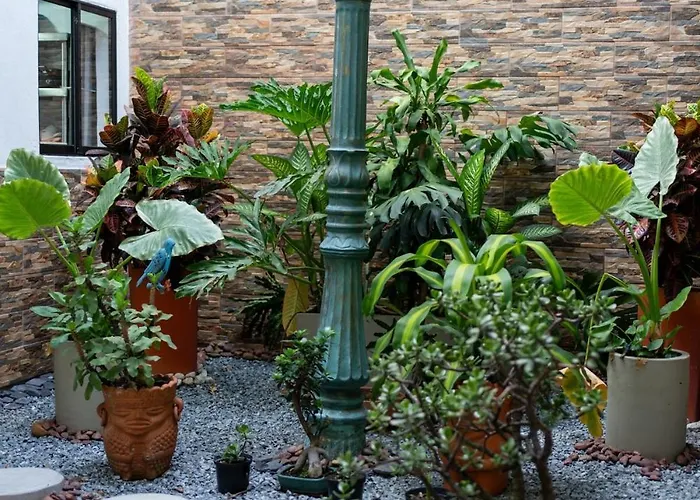 Casa Laurel Hospedaje Boutique Alojamiento Completo